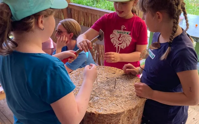img20230602wa0038.jpg